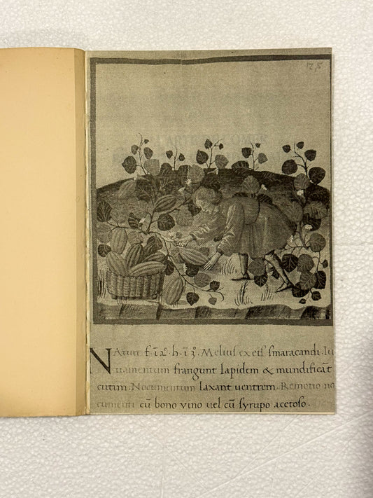 A Arte de Comer Em Portugal na Idade Média | Salvador Dias Arnaut