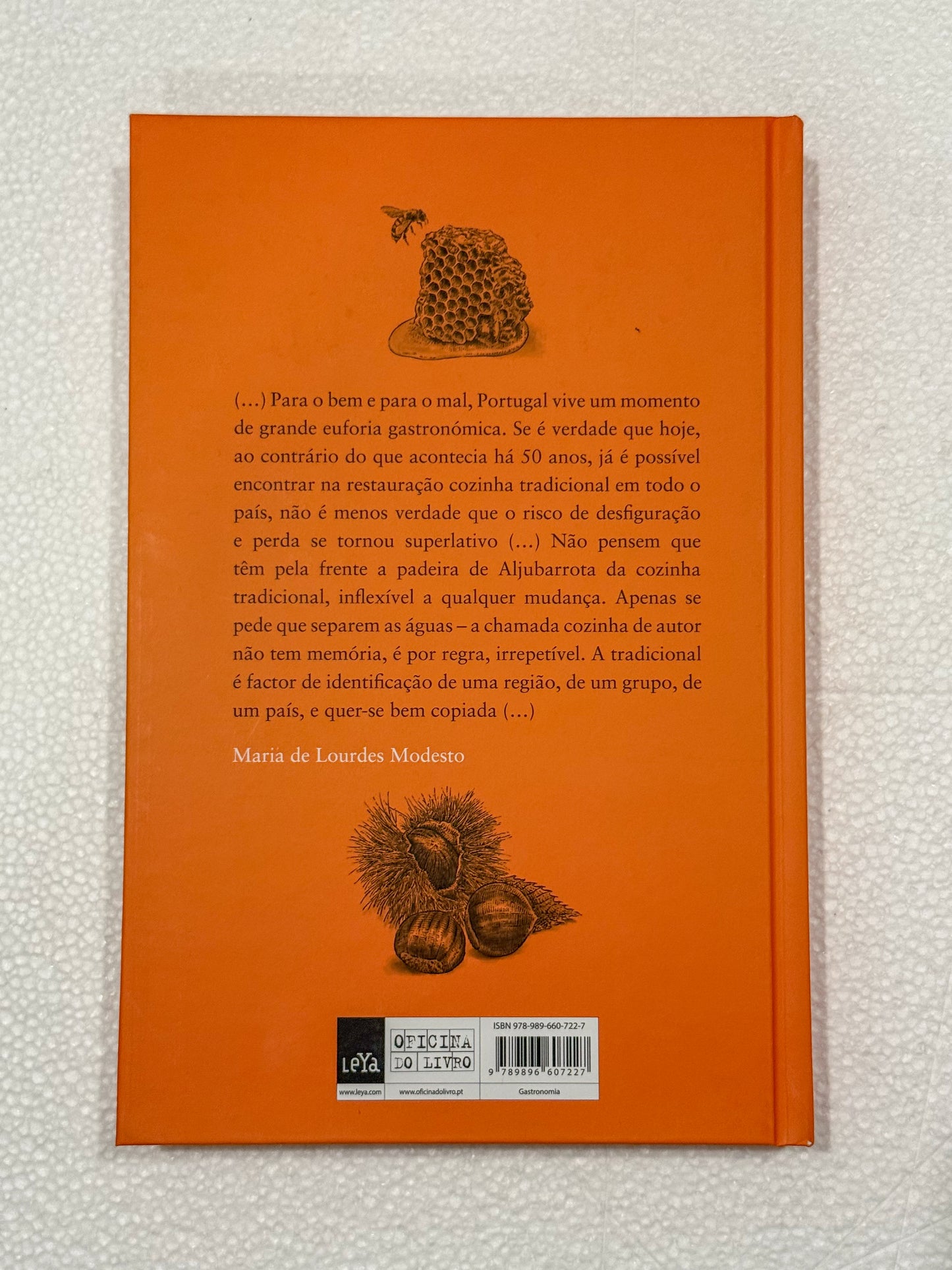 Coisas Que Eu Sei | Maria de Lourdes Modesto