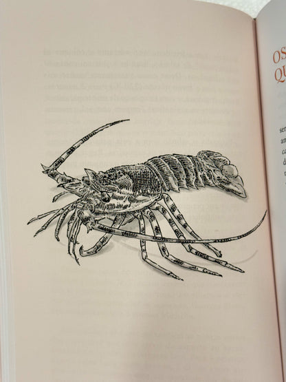 Coisas Que Eu Sei | Maria de Lourdes Modesto