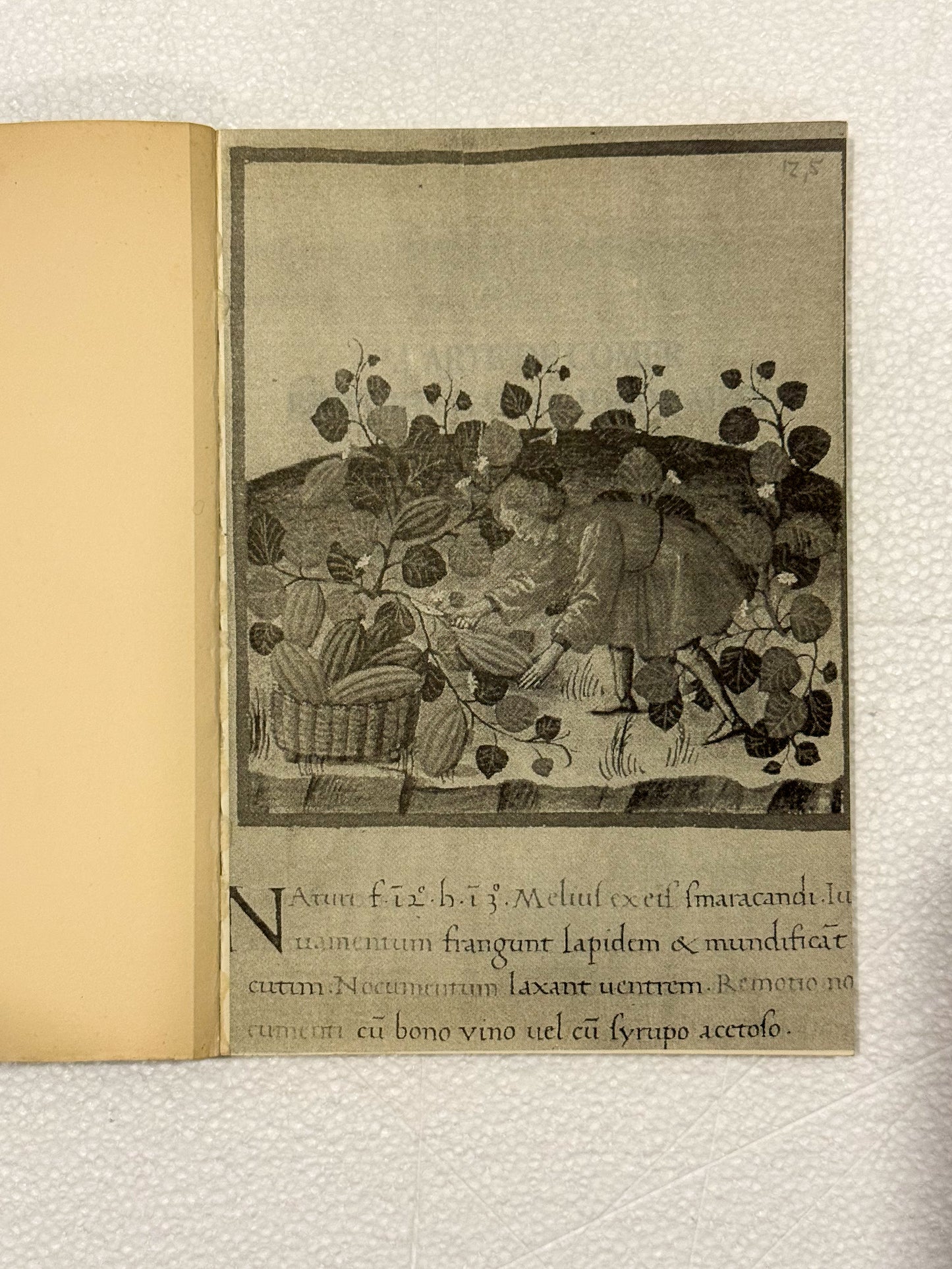 A Arte de Comer Em Portugal na Idade Média | Salvador Dias Arnaut