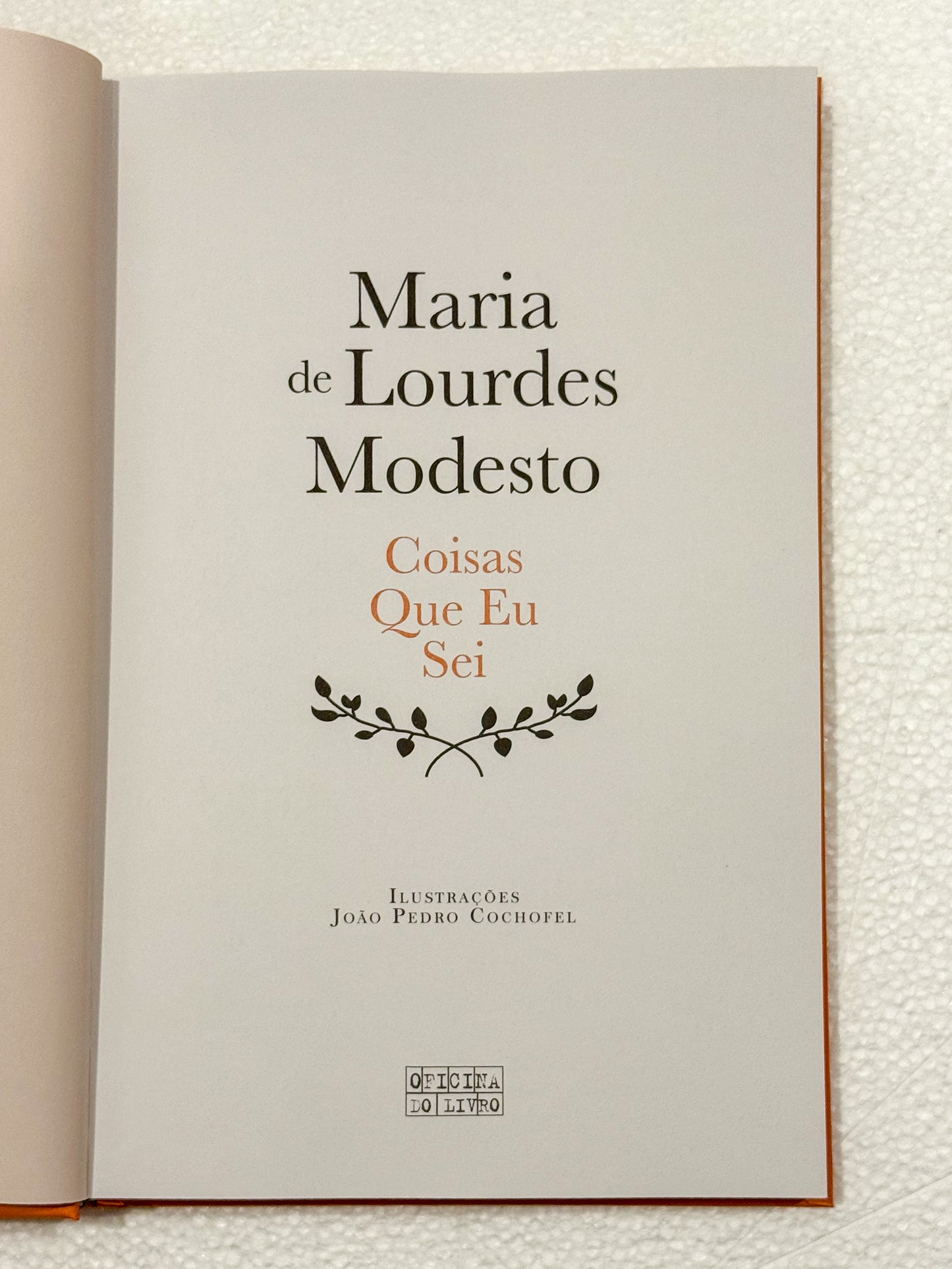 Coisas Que Eu Sei | Maria de Lourdes Modesto